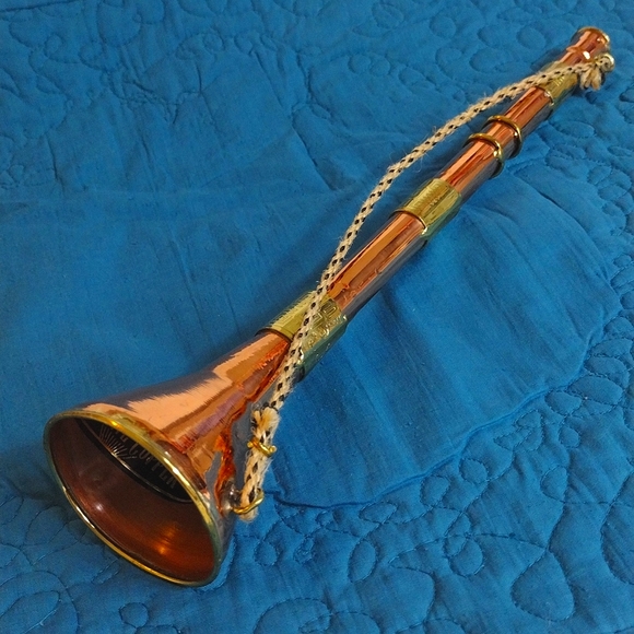Other - Copper Horn Decor